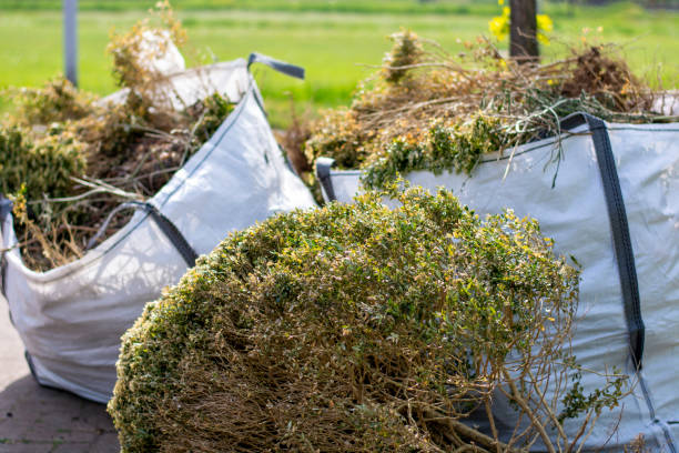 Best Hoarding Cleanup  in Mcdonald, OH